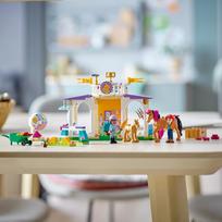 lego friends - LEGO Friends Žirgo treniruotė 41746 - 5 nuotrauka