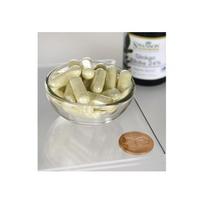 swanss - Swanson Ginkgo Biloba Extract 120 kaps - 2 nuotrauka
