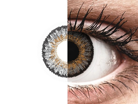 FreshLook One Day (Gray)