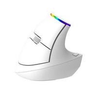 Delux M618C 2.4G 1600DPI RGB