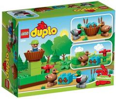 Lego Forest Ducks 10581