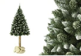 dirbtine pusis - Kalėdų eglutė deimantinė pušis 220cm - 1 nuotrauka