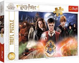  Trefl The Secret Harry Potter 23001, 60 cm x 40 cm