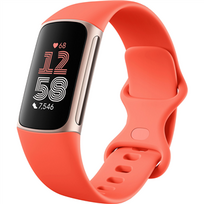 charge 6 fitbit - Fitbit Charge 6 Coral/ Champagne Gold - 3 nuotrauka