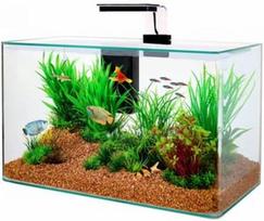 Zolux Clear Aqua Kit 309020, skaidrus, su įranga, 32 l