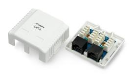 cat6 box - Lanberg UTP Data Box RJ-45 x2 Unshielded - 2 nuotrauka
