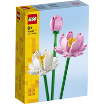 lego botanical - LEGO Kwiaty Lotosu 40647 - 2 nuotrauka