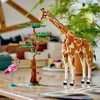 lego 3 in 1 - LEGO Creator Laukiniai safario gyvūnai 31150 - 5 nuotrauka