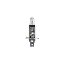 h1 lempute 55w -  Philips H1 12V 55W Vision+30% - 2 nuotrauka