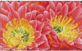 Deimantinė mozaika Diamond Dotz Desert Blooms DQ9.009, įvairių spalvų, 143.87 g