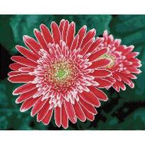 Deimantinė mozaika Diamond Dotz Pink Gerberas DQ10.001, žalia/rožinė, 172.75 g