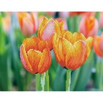 Deimantinė mozaika Diamond Dotz Love Tulips SD3.402, žalia/oranžinė