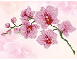 diamond mozaika - Deimantinė mozaika Diamond Dotz Orchid Spray DD6.034, rožinė - 1 nuotrauka