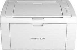 Panttum P2509W