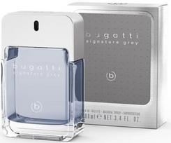 Bugatti Signature Grey EDT 100 ml