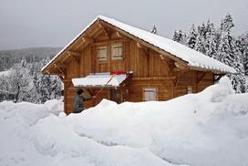 wolfs garten - Sniego valytuvas stogui + Vario rankena SR-M60/ZM-V4, Wolf Garten - 2 nuotrauka