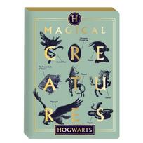 Užrašinė HARRY POTTER CRIATURAS MAGICAS, A5, 288 psl.