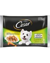 CESAR Výběr příchutí v želé 4 x 100g