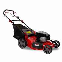 briggs stratton varikliai - Benzininė vejapjovė WYZ-22H - 2 nuotrauka