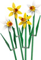 lego botanical - LEGO Creator narcizai 40747 - 3 nuotrauka