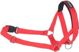 Antsnukis Amiplay Basic, M, raudona