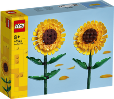 lego botanical - LEGO Iconic Saulėgrąžos 40524 - 2 nuotrauka