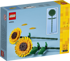 lego botanical - LEGO Iconic Saulėgrąžos 40524 - 6 nuotrauka