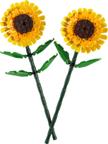 lego botanical - LEGO Iconic Saulėgrąžos 40524 - 3 nuotrauka