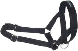 Antsnukis Amiplay Basic, XXL, juoda