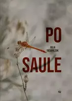 Audio Po saule
