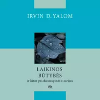 Audio Laikinos būtybės ir kitos psichoterapinės istorijos
