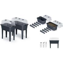 pakeltos lysves - Mini šiltnamis su kojomis Prosperplast IPE600-S433, juodas - 2 nuotrauka