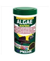 algae wafers - Maistas žuvims Prodac Algae Wafers AW1200, 0.550 kg - 2 nuotrauka