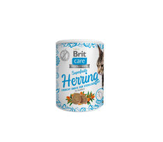 brit care sterilize cat - Brit Care Cat skanėstas Superfruits Herring 100g - 1 nuotrauka