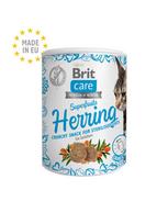 brit care sterilize cat - Brit Care Cat skanėstas Superfruits Herring 100g - 2 nuotrauka