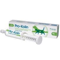 Maisto papildas šunims ir katėms Protexin Pro-Kolin, 60 ml