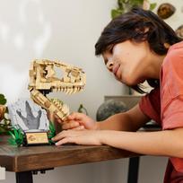 lego jurassic world - LEGO Jurassic World dinozaurų skeletas tiranozauro kaukolė 76964 - 3 nuotrauka