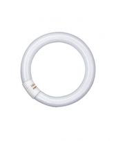Osram 32W lempa LUMILUX T9 C, G10q, 4000K, 299mm