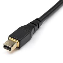 vesa displayport kabelis - Startech DisplayPort Mini kabelis, 1 m - 2 nuotrauka