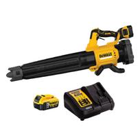 dewalt lapu pustuvai - Dewalt DCMBL562P1-QW - 7 nuotrauka