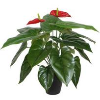Dirbtinė gėlė vazone, anturis Home4you Anthurium, raudona/žalia, 45 cm