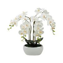 Dirbtinė gėlė vazone, orchidėja, įvairių spalvų/, 70 cm