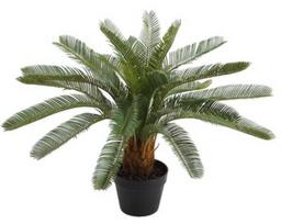 Dirbtinis augalas vazone Home4you, žalia, 70 cm