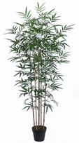 Dirbtinis augalas vazone, bambukas Home4you, žalia, 150 cm