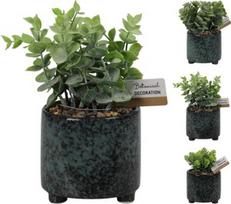 Dirbtinis augalas vazone Atmosphera, žalia, 20 cm