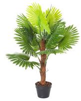 Dirbtinis augalas vazone, palmė Home4you, žalia, 100 cm