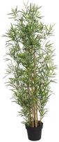 Dirbtinis augalas vazone, bambukas Splendid, žalia, 120 cm