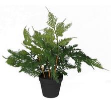 Dirbtinis augalas vazone Splendid Asparagus, juoda/žalia, 45 cm
