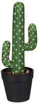 Dirbtinis augalas vazone, kaktusas Splendid Cactus, juoda/žalia, 26 cm
