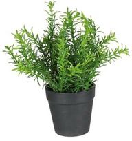 Dirbtinis augalas vazone, vaistažolės Splendid Herbs 3, žalia, 22 cm